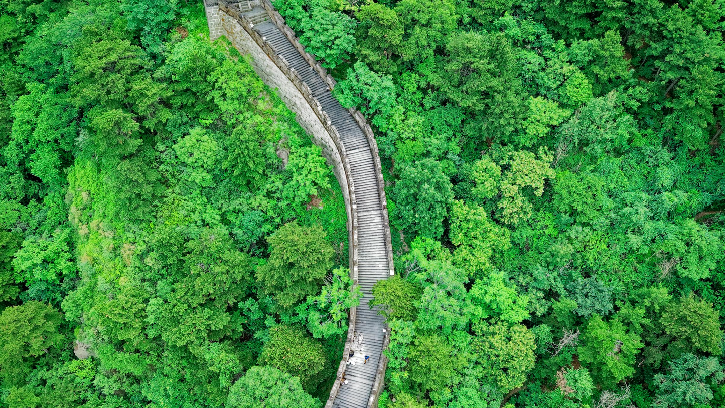 Life Guidance (30 Min)