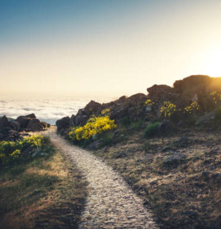 Life Guidance (60 Min)