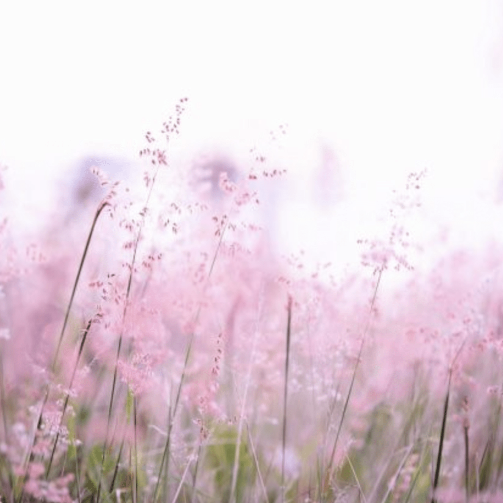 Aura Reading for One