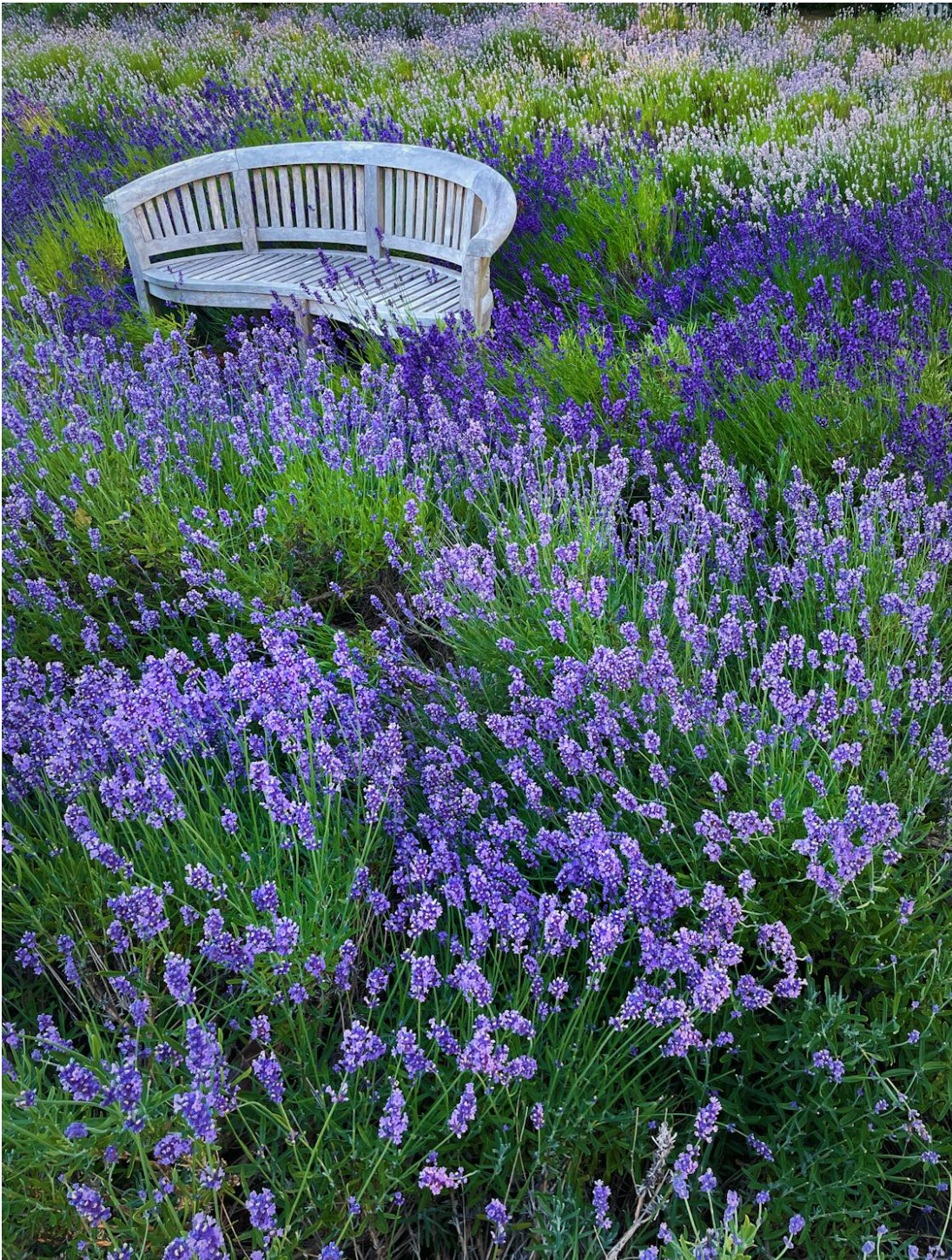 Free Consult (15min)